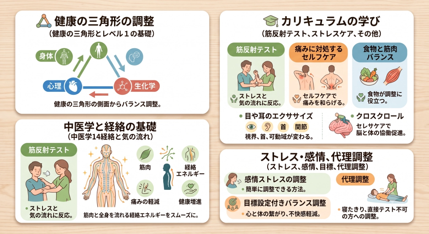 タッチフォーヘルス レベル1講座の様子