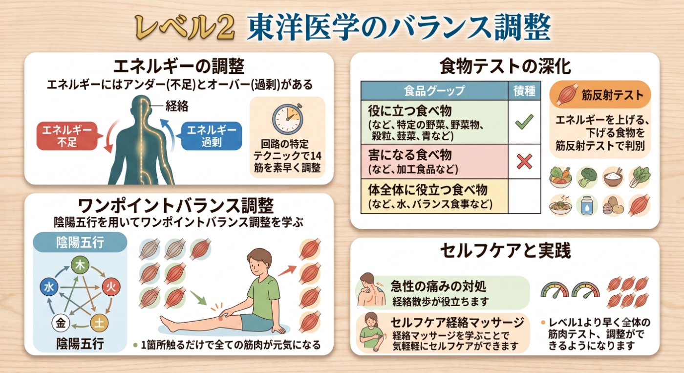 タッチフォーヘルス レベル2講座の様子